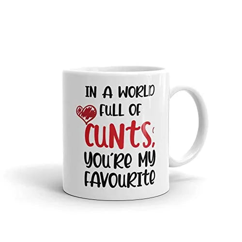 in-A-World-Full-of-Cunts-Youre-My-Favourite-Mug-Profanity-Mugs-Insult-Saying-Friend-Funny-Gift-Shut-Up-Birthday-Offi-B0BHXMTV5J-2