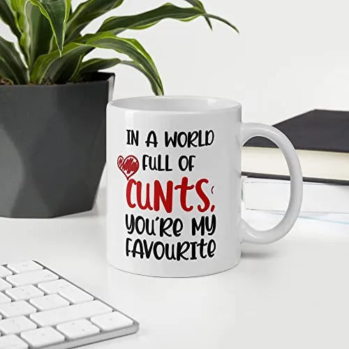 in-A-World-Full-of-Cunts-Youre-My-Favourite-Mug-Profanity-Mugs-Insult-Saying-Friend-Funny-Gift-Shut-Up-Birthday-Offi-B0BHXMTV5J-4