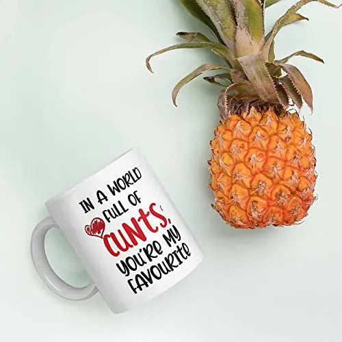 in-A-World-Full-of-Cunts-Youre-My-Favourite-Mug-Profanity-Mugs-Insult-Saying-Friend-Funny-Gift-Shut-Up-Birthday-Offi-B0BHXMTV5J-7